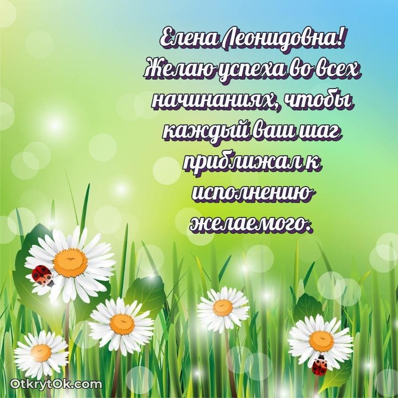 Поздравление директору Елене Леонидовне