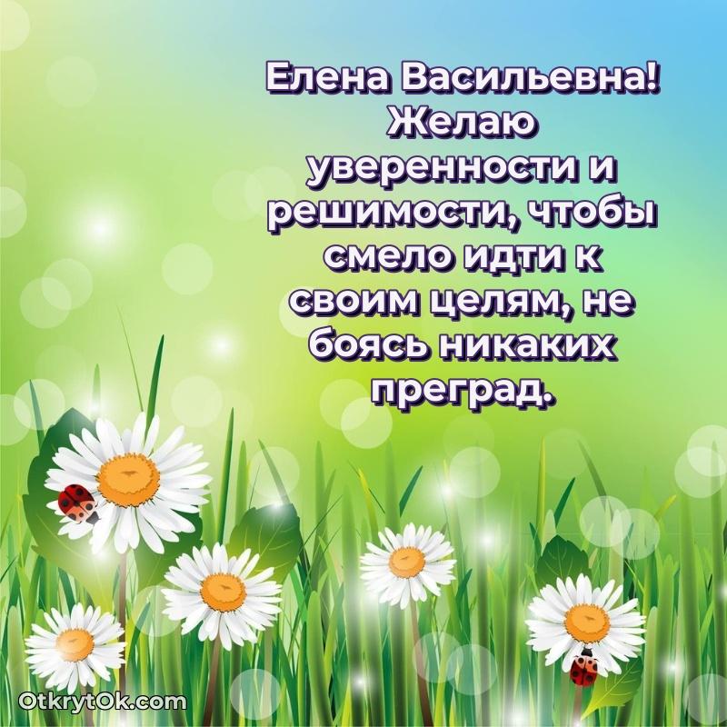 Открытка учительнице начальных классов Елене Васильевне