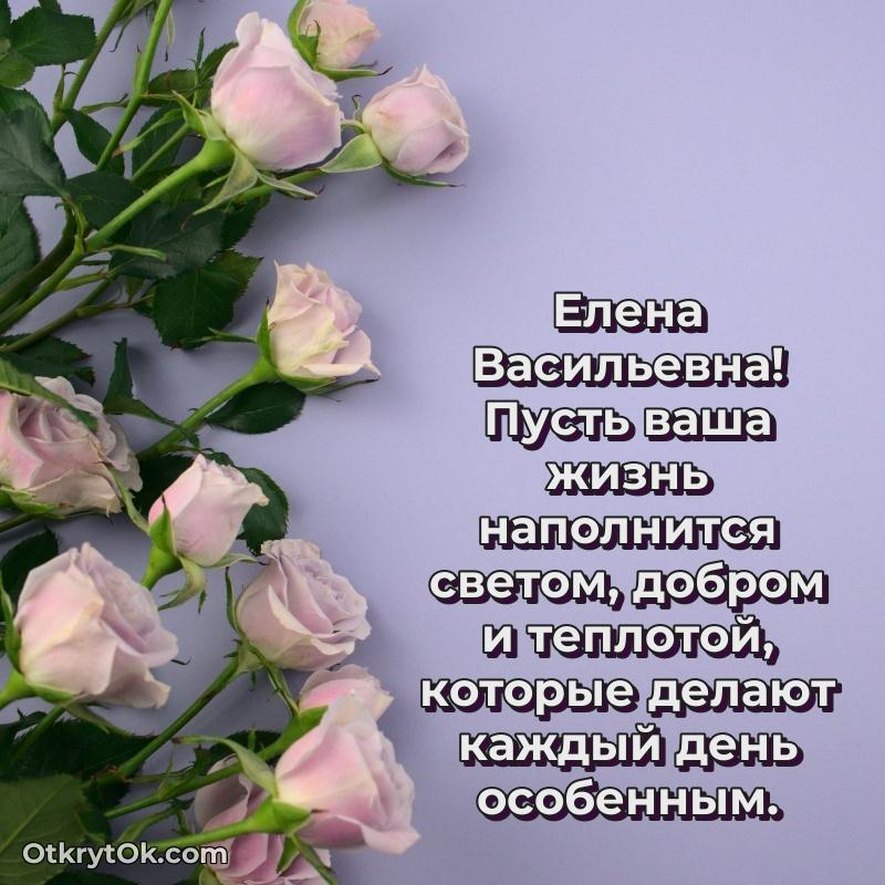 Открытка учительнице математики Елене Васильевне