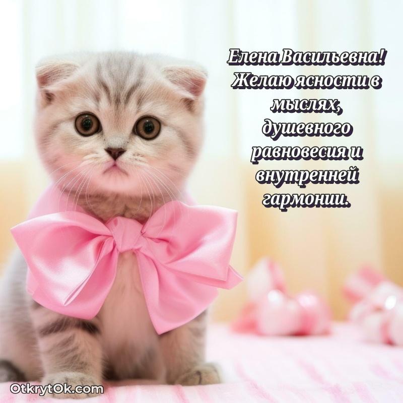 Открытка классной преподавательнице Елене Васильевне