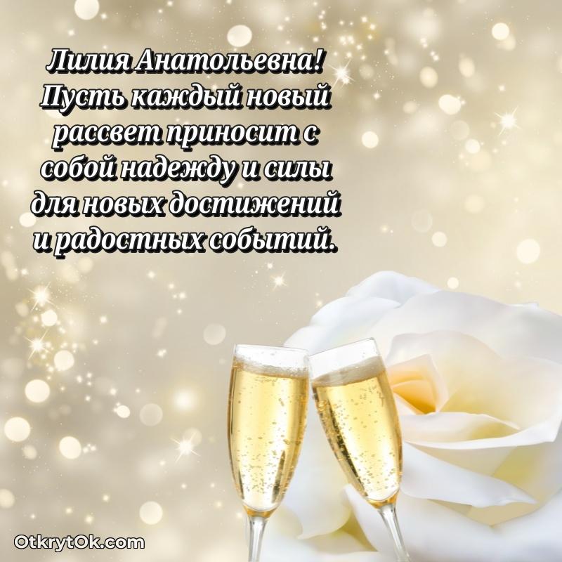 60 лет картинка праздничная Лилии Анатольевне